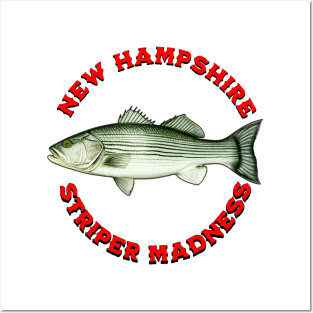 Striper Madness New Hampshire Striped Bass Fishing Posters and Art